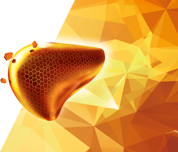 essentiale aknu tests fons